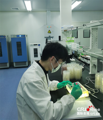 湖北首個黑茶產(chǎn)品質(zhì)量檢測中心在赤壁揭牌，推動茶產(chǎn)業(yè)高質(zhì)量發(fā)展