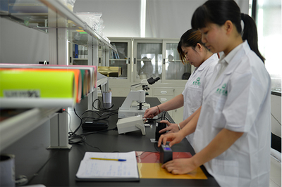 熱轉(zhuǎn)印燙畫(huà)廠檢測(cè)服務(wù) 品質(zhì)保障的堅(jiān)實(shí)后盾